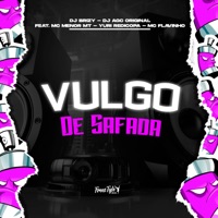 Vulgo De Safada (feat. MC Menor MT, Yuri Redicopa & MC Flavinho) - Single - DJ BRIZY, DJ AGC Original & FreesTyle Sounds