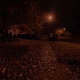 Midnight Beast Strixx