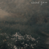 wicked game - Jessie Villa