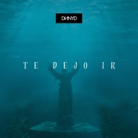 Te Dejo Ir - Single - DNNYD