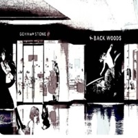 Backwoods & Gems (feat. Kbackwood$) - Single - Gehmstone