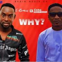 Why (feat. Coba) - Single - C-Brain