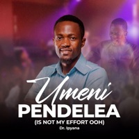 Umenipendelea // Is not My Effort - EP - Dr. Ipyana