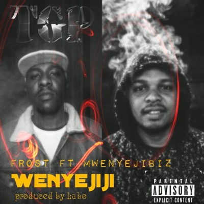 Wenyejiji - Single