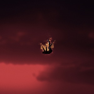 Fallen Demon
