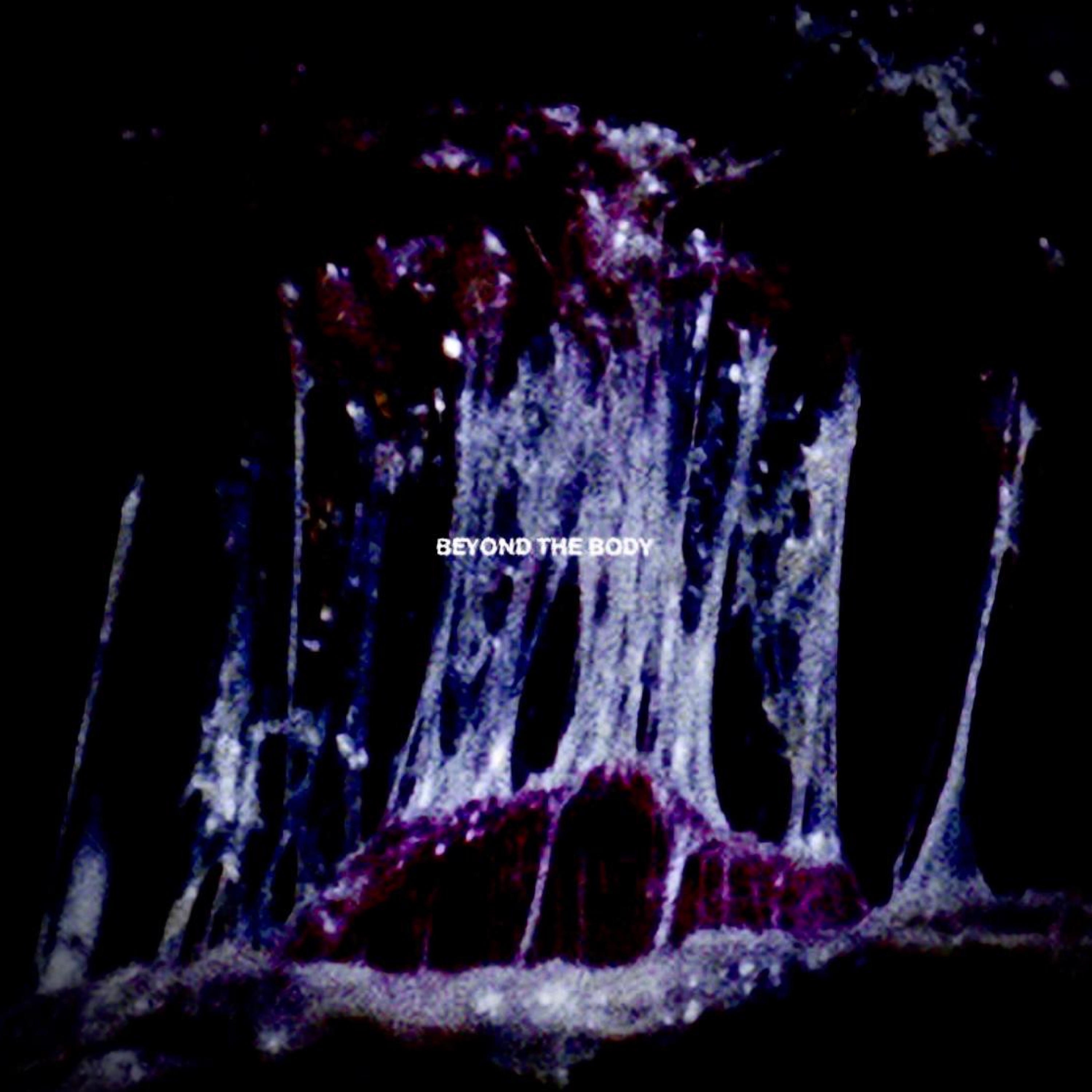 interoception - Single