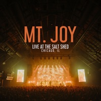 Mt. Joy Ablum Cover