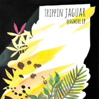 Quagmire - EP - Trippin Jaguar