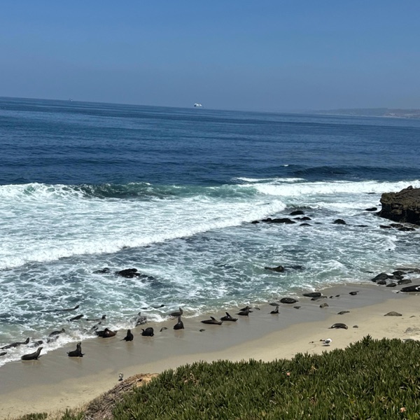 Low Tide