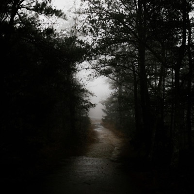 i chose this path - Single