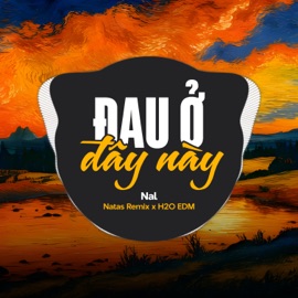 Đau Ở Đây Này (feat. H2O EDM & Natas Remix) [EDM] NAL