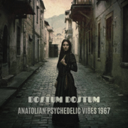 DOSTUM DOSTUM - Anatolian Psychedelic Vibes 1967