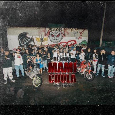 Mami Chula (feat. Timi Crazy) [Luzock Remix] - Single