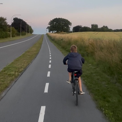 P.S Krøyer Sommer (feat. p3psihæld) - Single