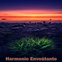 Harmonie envoûtante - My Beats The Rap, ChillHop Beats & Beats de Rap