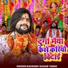 Durga Maiya Kaise Kariyo Vidai - Single