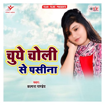 Chuye Choli Se Pasina - Single