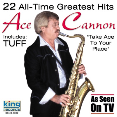 22 All-Time Greatest Hits (Re-Recorded Versions)