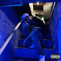 STONECOLD (feat. Erose $hawty & Heron Ra) - Single - 90culture, Camouflage Don & ANTIDOTE