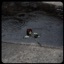 Maëlie - Single
