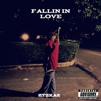Fallin' in love (feat. D3zires) - Single