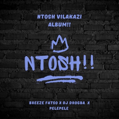 UTHANDO (feat. Breeeze Fatso & PELEPELE) - Single