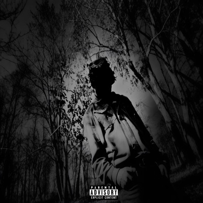 Para Que Voltear - Single