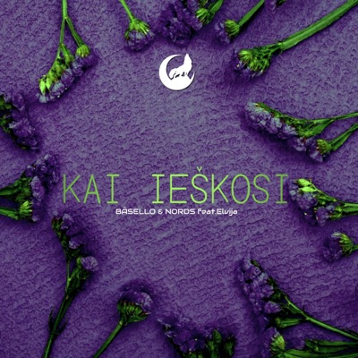 Kai Ieškosi - Single