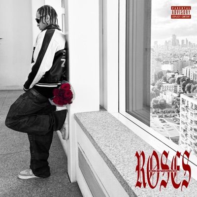 Roses (feat. C O P I L O T) - Single
