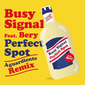 Perfect Spot (feat. Bery) [Aguardiente Remix]