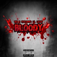 Bloody (feat. Lil Lucas) - Single - Big K