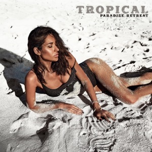 Tropical Paradise Retreat: Beachfront Lounge Chillout, Sunset Party Summer Vibes, Island Escape