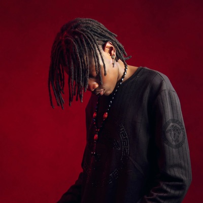 Gulha do Mundinho (Instrumental) [feat. Bolacha No Beat] - Single