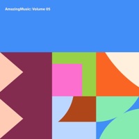 Volume 05 - Amazing Music