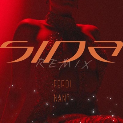 Si Na (Remix) - Single