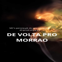 DE VOLTA PRO MORRAO (feat. MC dl, MC Pk do jota & MC perone) - Single - Mc vinny jc
