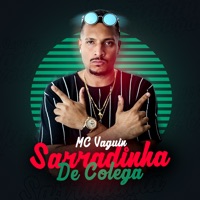 Sarradinha de Colega (feat. DJ Swat) - Single - Mc Vaguin