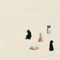 Cats and dogs - Single - entoy