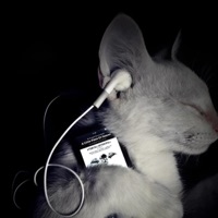 fractured hearts (feat. life) - Single - Brinnin