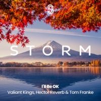 I'll Be Ok - Single - Valiant Kings, Hector Reverb & Tom Franke