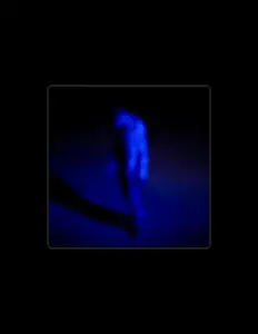 收听 SHOWER、观看音乐视频、阅读小传、查看巡演日期等 ！