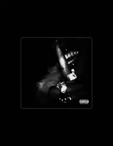 收听 TIWA、观看音乐视频、阅读小传、查看巡演日期等 ！