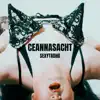 Ceannasacht