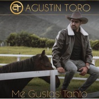Me Gustas Tanto - Single - Agustín Toro