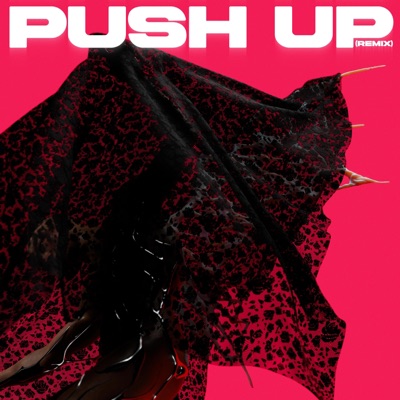 Push Up (Remix) - Single