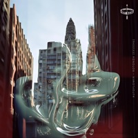 Rotonda - Single - AUTOFLOWER