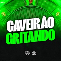 Caveirão Gritando - Single - DJ BRN, Mc manddy & MC Vn Cria
