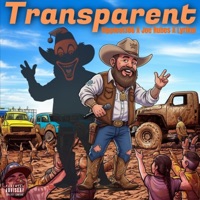 Transparent (feat. Lyrikul) - Single - 386 Music & Twisted Wrench