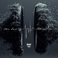 The Law of Attraction - Single - Statuz