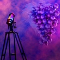 Rendezvous (feat. Summer Payton) - Single - Diveo